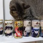 洗って乾燥済みの呪術缶