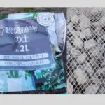 観葉植物用の土と石の写真