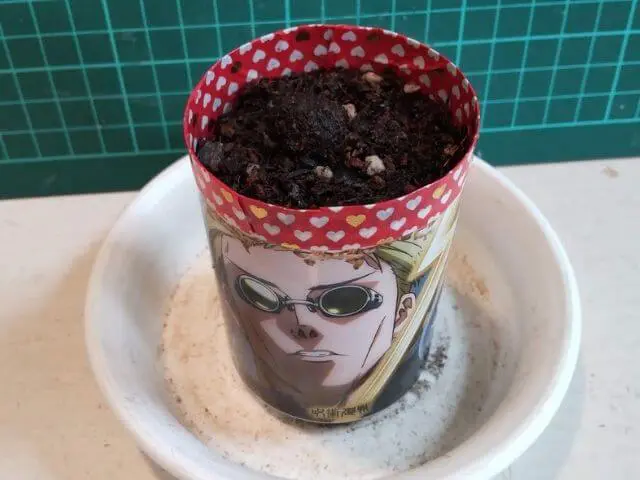 わが家の呪術缶プランターポットにリメイクした写真