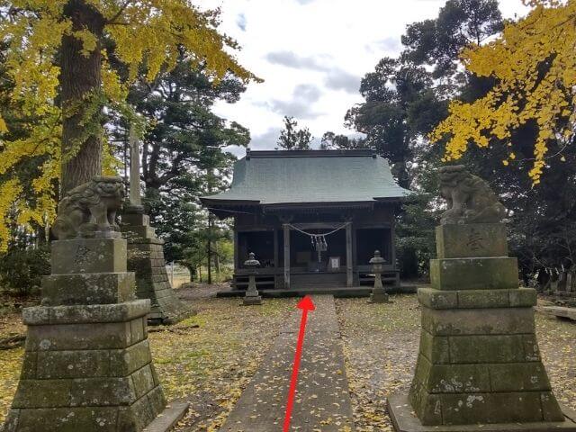 横田神社の狛犬とイチョウの葉の写真