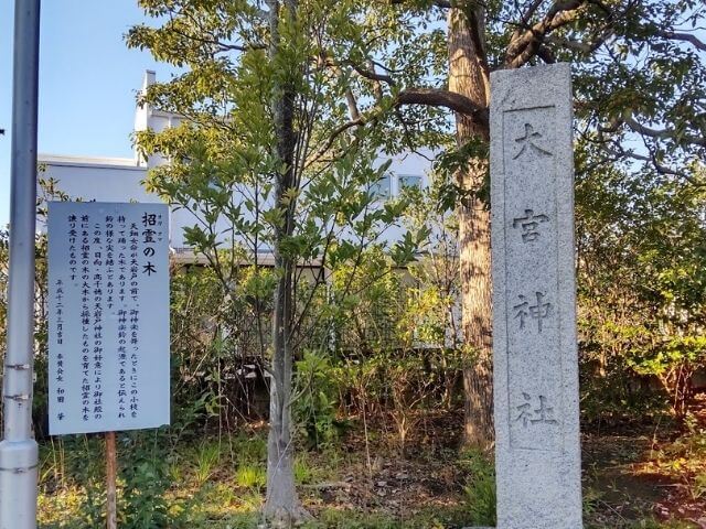 招霊の木と大宮神社の刻印が入った石像の写真