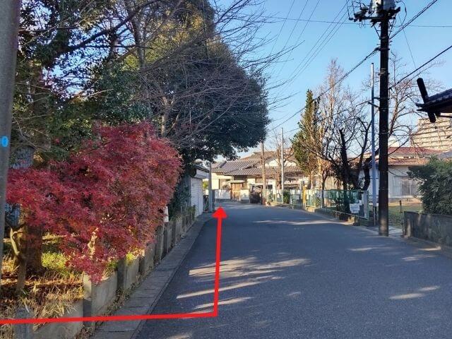 八雲神社を出た道路と境内の紅葉の写真