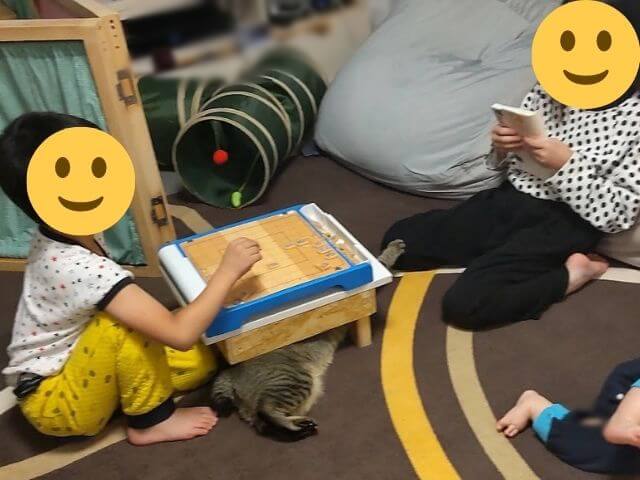 5歳の息子と小学3年生の娘がどんどん強くなるこども詰め将棋1手詰めの本で問題を出し合って将棋盤で詰め将棋をしているところの写真