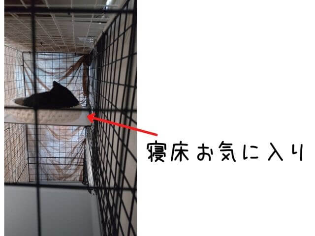 100均のワイヤーネットで自作したキャットケージ3段目に紙紐で作った寝床を置いたら保護猫が中に入っているところの写真
