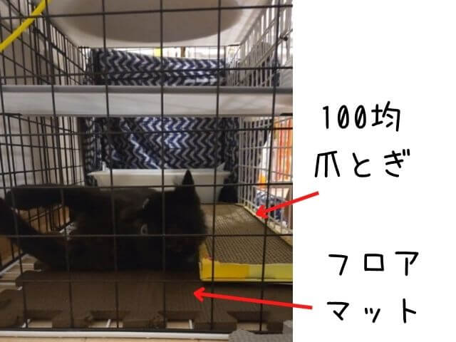 100均のワイヤーネットで自作した3段のキャットケージの床にフロアマットをしいて爪とぎを置いたところで保護猫が遊んでいるところの写真