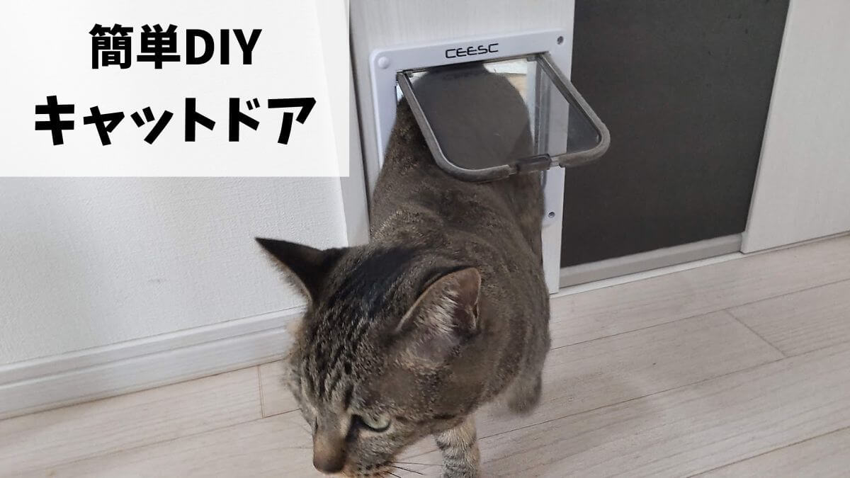 簡単DIY】キャットドアを取り付けてみた！猫が自由に通れて最高♪ | 平凡帳