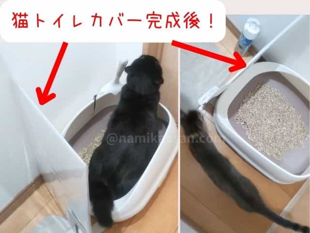 猫トイレカバーを100均アイテムで簡単に設置し、猫ちゃんたちがトイレに行っているところの写真
