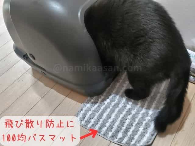 猫トイレカバーの技あり砂の飛び散り対策として100均バスマットを猫トイレ出入り口に設置した写真