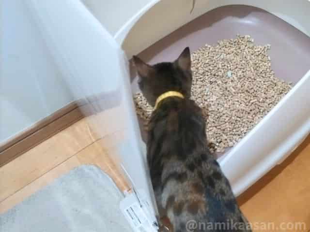猫トイレに100均アイテムで作った猫トイレカバーを設置したところの写真