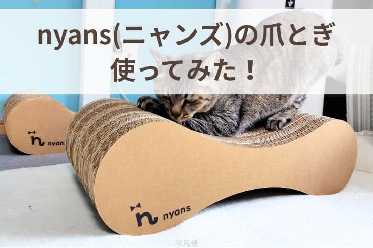 わが家の猫さんがnyans(ニャンズ)の爪とぎでバリバリ爪を研いでいるところの写真