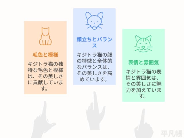 キジトラは美人猫が多い理由3つを図解にした画像