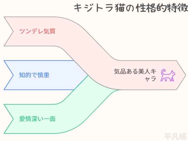 キジトラ猫の性格的特徴を図解にした画像