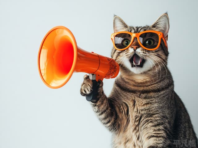キジトラ猫がメガホンで叫んでいる画像