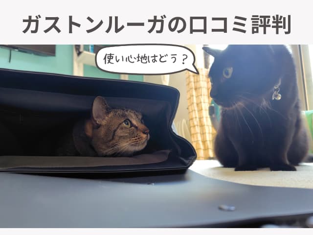 ガストンルーガの口コミ評判の文字とガストンルーガのリュックに猫さんたちがこぞって入ってしまったところの写真