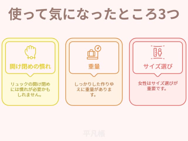 ガストンルーガのリュックを使って気になったところ3つを図解にした画像