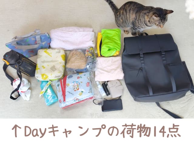 ガストンルーガのリュックに入れる荷物14点を並べているところの写真