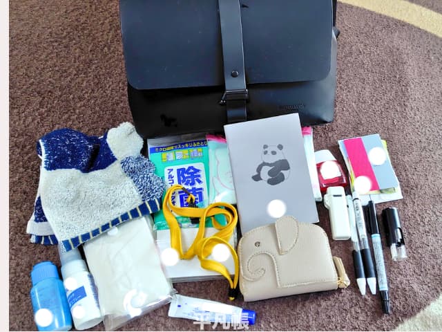 ガストンルーガのスプラッシュクロスボディミディアムを日常使いしたときに入れている荷物一覧の画像